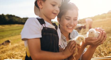 Mother and child holding chicks at the farm