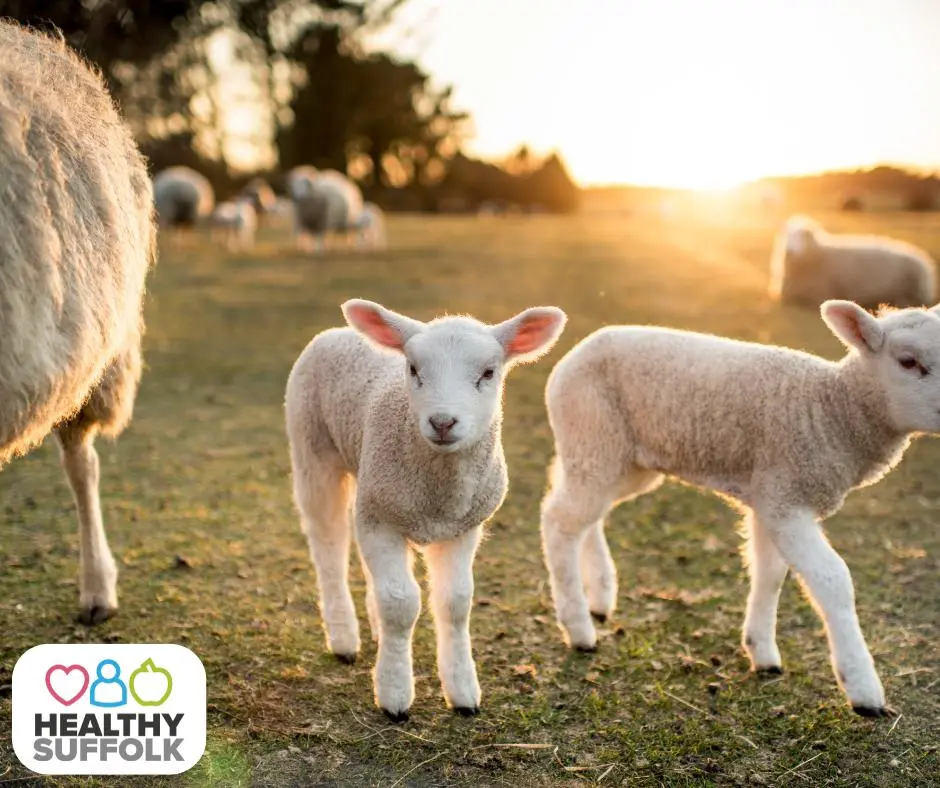 Health Protection (3)